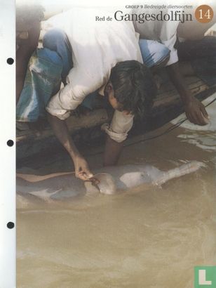 Red de Gangesdolfijn - Bild 1