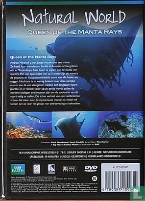 Queen of the Manta Rays - Image 2