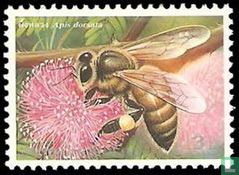 Honingbijen