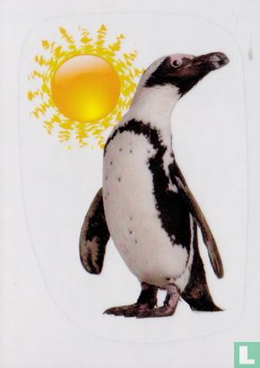 079 Pinguin