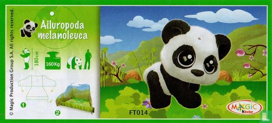 Panda - Afbeelding 3