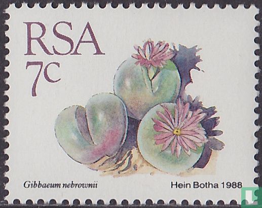 Succulentes