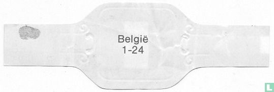 België - Image 2