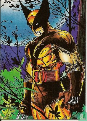 Wolverine - Afbeelding 1