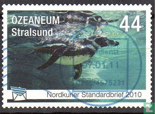 Private Mail Nordkurier, Jubiläum Meeresmuseum