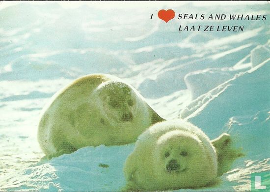 I love seals and whales, laat ze leven