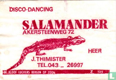 Disco-Dancing Salamander