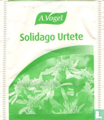 Solidago Urtete - Afbeelding 1