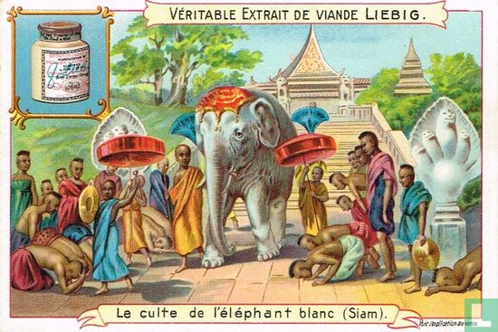 Le culte de l'éléphant blanc (Siam)