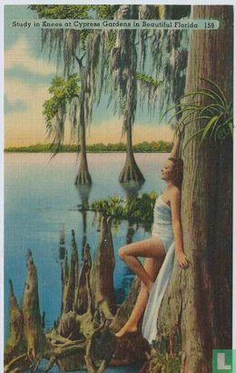 Study in Knees at Cypress Gardens in Beautiful Florida  159 - Image 1