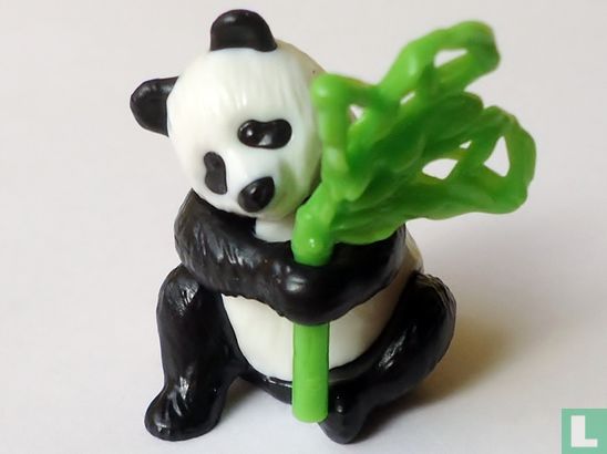 Panda - Bild 1