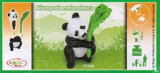 Panda - Bild 3