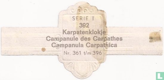 Karpatenklokje - Campanula Carpathica - Afbeelding 2