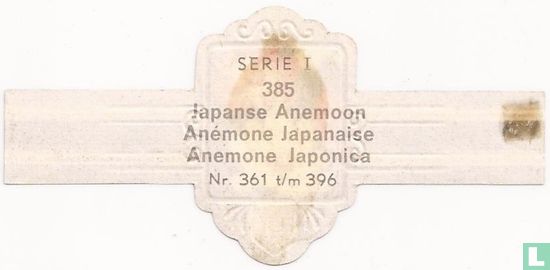 Japanische Anemone-Anemone Japonica - Bild 2