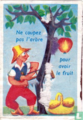 Ne coupez pas l'arbre pour avoir le fruit