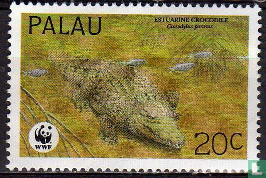 Sea crocodile (Crocodylus porosus)