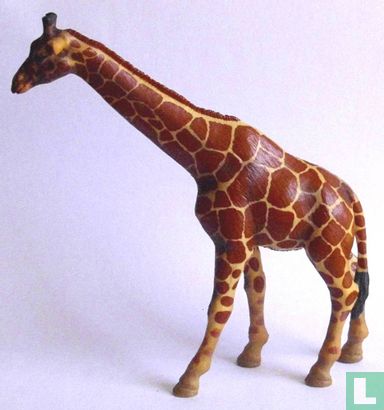 Giraffenkuh - Afbeelding 1