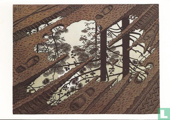 M.C. Escher: Puddle, 1952