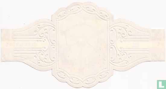 Parijs Notre Dame - Image 2