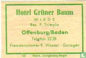 Hotel Grüner Baum - F.Trimpin