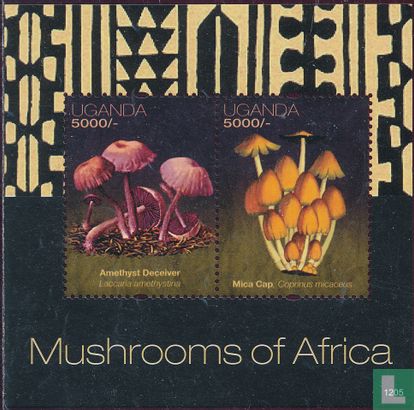 Afrikanische Pilze     
