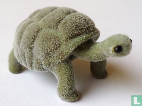 Galapagos reuzenschildpad - Afbeelding 1