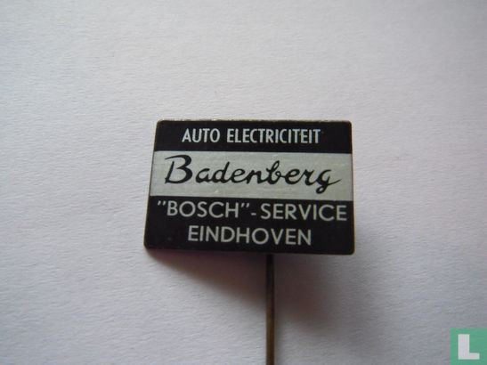 Badenberg auto electriciteit