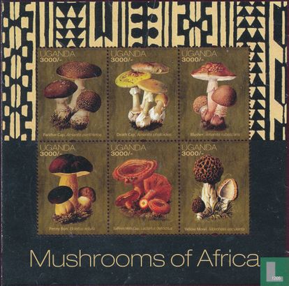 Champignons africains      