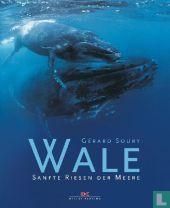 Wale  - Image 1