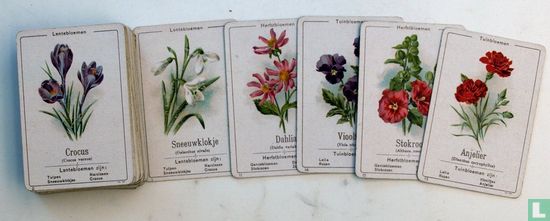 Bloemenkwartet spel flora - Image 2
