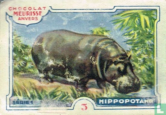 Hippopotane