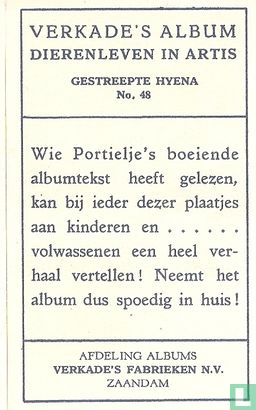 Gestreepte Hyena - Image 2