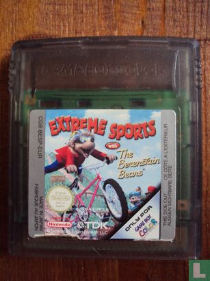 Extreme Sports with Berenstain Bears