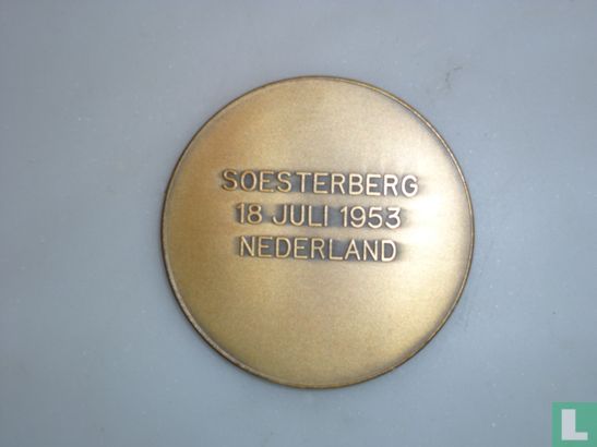 Médaille Koninklijke luchtmacht - Afbeelding 3