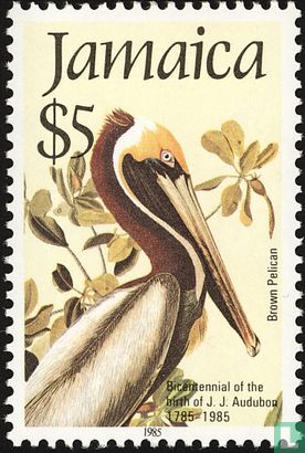 Audubon Vogels 
