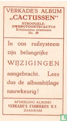 Stroogele-Dwergtoortscactus - Bild 2