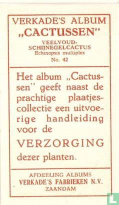 Veelvoud - Schijnegelcactus - Image 2