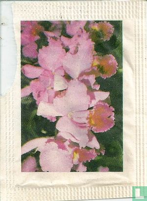 Orchideeën serie  - Image 1