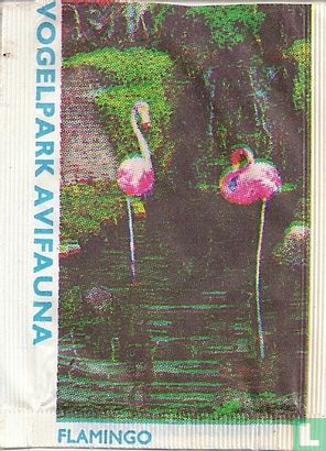 Flamingo - Vogelpark Avifauna  - Afbeelding 1