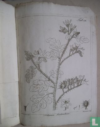 Histoire Naturelle, Medicale et Economique des Solanum et des genres qui ont été confondus avec eux - Bild 3