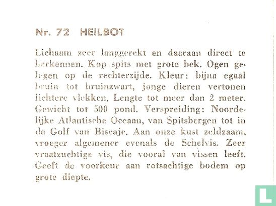 Heilbot - Afbeelding 2