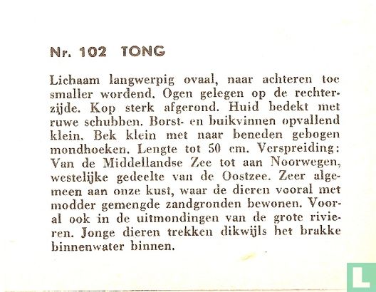 Tong. - Afbeelding 2