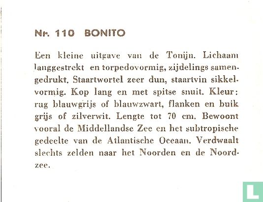 Bonito - Afbeelding 2