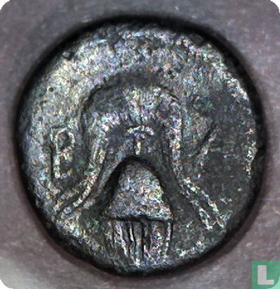 Salamis, Cyprus, AE16, 323-313 BC, Philippus III / Kassander van Macedonië - Image 2