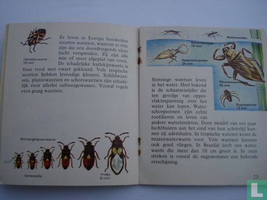 Insekten - Image 3