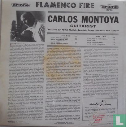 Flamenco Fire - Image 2