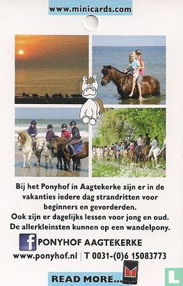 Ponyhof Aagtekerke - Image 2
