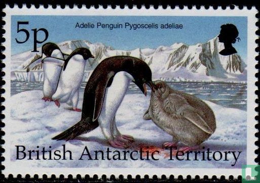 Antarktische Vögel