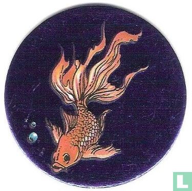 Ornamental Fish - Image 1