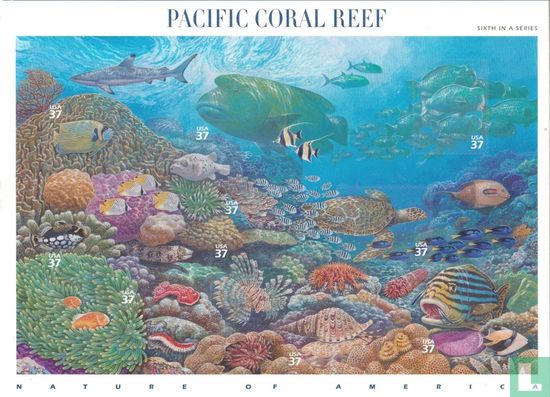 Pacific Coral Reef  